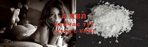 гашик Нея