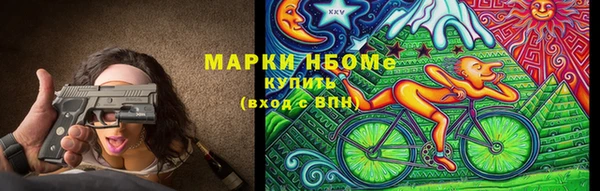 гашик Нея