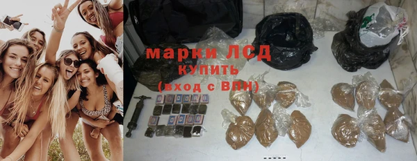гашик Нея