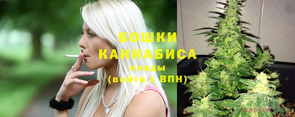 гашик Нея