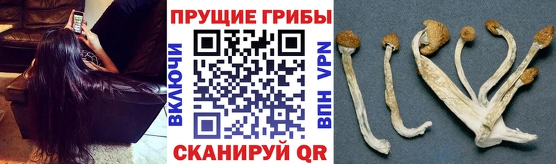 Галлюциногенные грибы ЛСД  Иркутск 